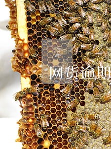 网货逾期打通讯录电话 网货逾期打通讯录电话