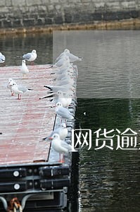 网货逾期未还的人能买社保吗