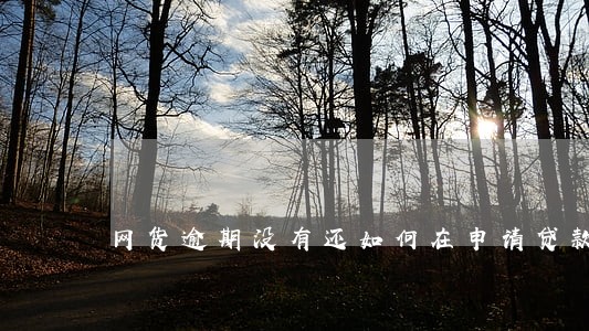 网货逾期没有还如何在申请贷款