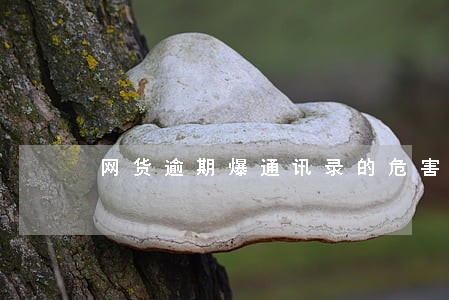 网货逾期爆通讯录的危害有哪些 网货逾期爆通讯录的危害有哪些