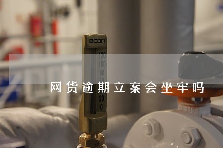 网货逾期立案会坐牢吗 网货逾期立案会坐牢吗