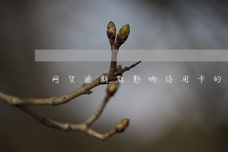 网货逾期能影响信用卡的使用吗
