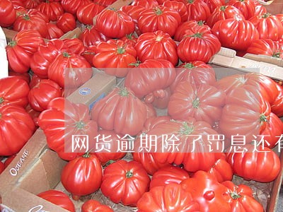 网货逾期除了罚息还有其它费用 网货逾期除了罚息还有其它费用