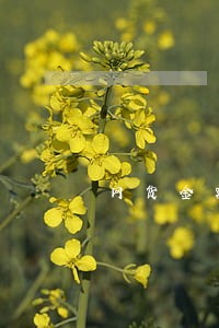网货金额超过5万逾期 网货金额超过5万逾期