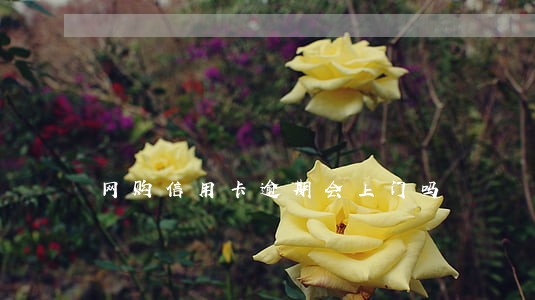 网购信用卡逾期会上门吗 网购信用卡逾期会上门吗