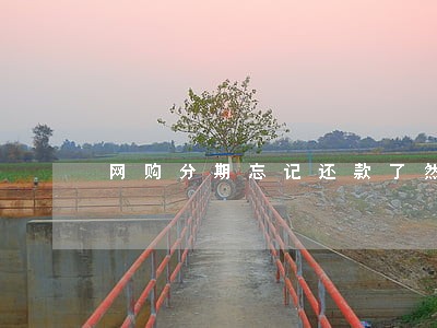 网购分期忘记还款了然后逾期 网购分期忘记还款了然后逾期