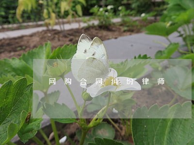 网购合同纠纷律师 网购合同纠纷律师