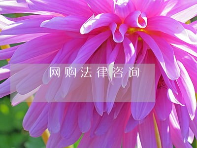 网购法律咨询 网购法律咨询