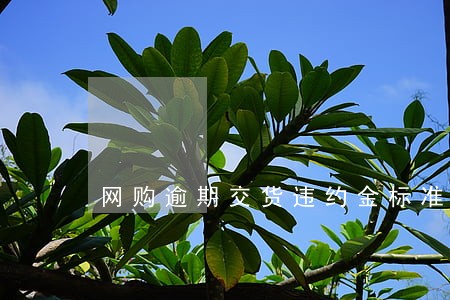 网购逾期交货违约金标准 网购逾期交货违约金标准