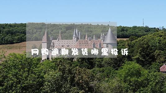 网购逾期发货哪里投诉
