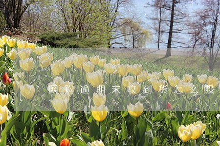 网购逾期未收到货怎么投诉 网购逾期未收到货怎么投诉