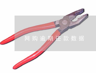 网购逾期还款数据