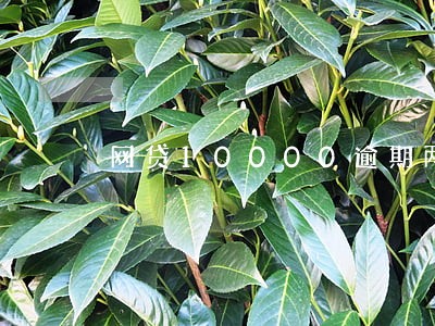 网贷10000逾期两年多少钱