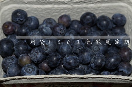 网贷1000元额度逾期 网贷1000元额度逾期