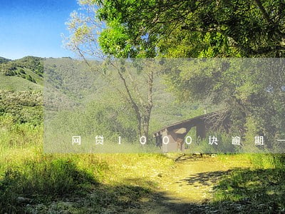 网贷1000块逾期一年怎么还 网贷1000块逾期一年怎么还