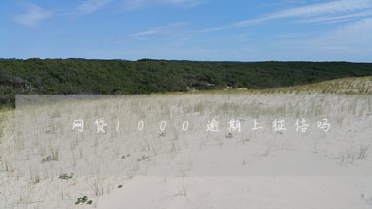 网贷1000逾期上征信吗 网贷1000逾期上征信吗