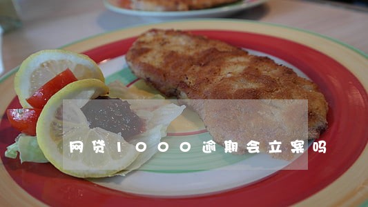 网贷1000逾期会立案吗