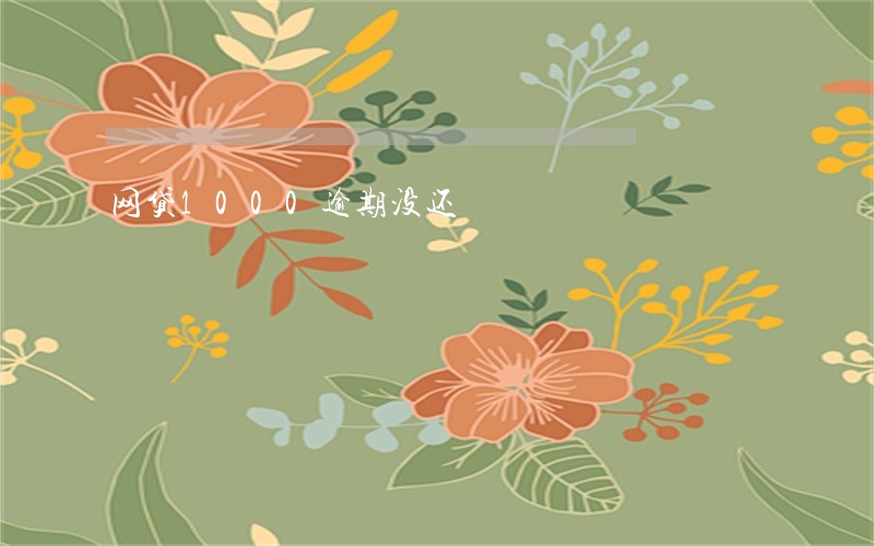 网贷1000逾期没还