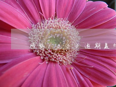 网贷1000逾期轰炸 网贷1000逾期轰炸