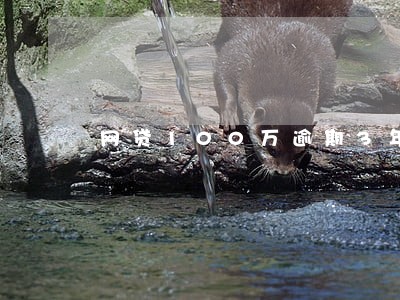网贷100万逾期3年了 网贷100万逾期3年了