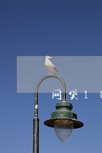 网贷10万逾期5年 网贷10万逾期5年