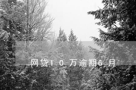网贷10万逾期6月 网贷10万逾期6月