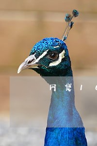 网贷10万逾期三年 网贷10万逾期三年