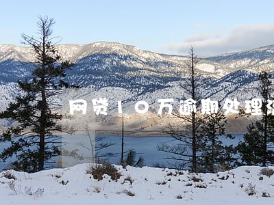 网贷10万逾期处理流程