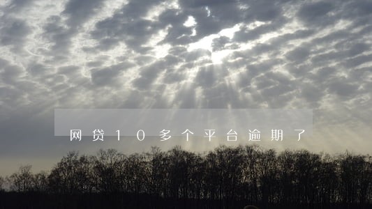 网贷10多个平台逾期了