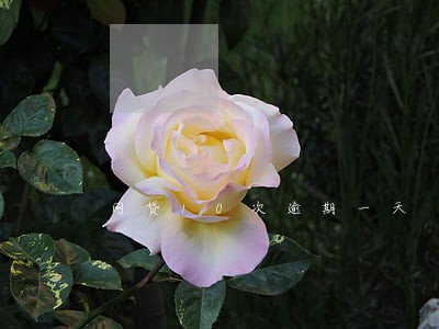 网贷10次逾期一天 网贷10次逾期一天