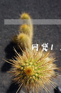 网贷12000元逾期 网贷12000元逾期
