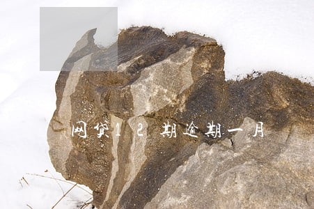 网贷12期逾期一月 网贷12期逾期一月
