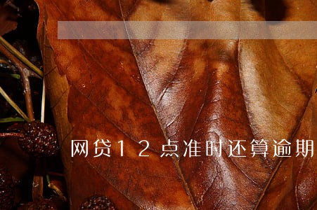网贷12点准时还算逾期吗 网贷12点准时还算逾期吗