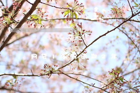 网贷13万逾期2年 网贷13万逾期2年