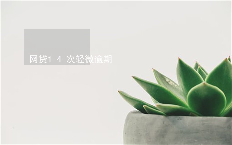 网贷14次轻微逾期 网贷14次轻微逾期