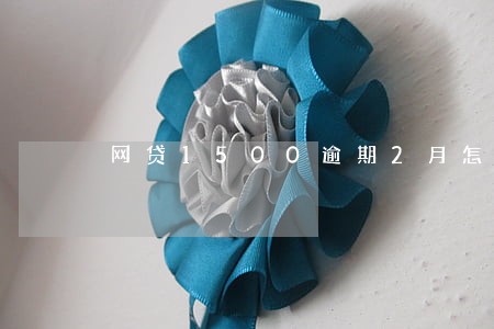 网贷1500逾期2月怎么办 网贷1500逾期2月怎么办