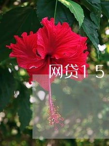 网贷15万逾期两年 网贷15万逾期两年