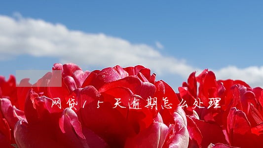 网贷15天逾期怎么处理 网贷15天逾期怎么处理