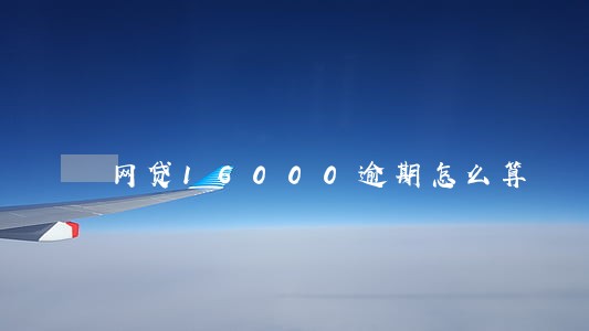 网贷16000逾期怎么算 网贷16000逾期怎么算