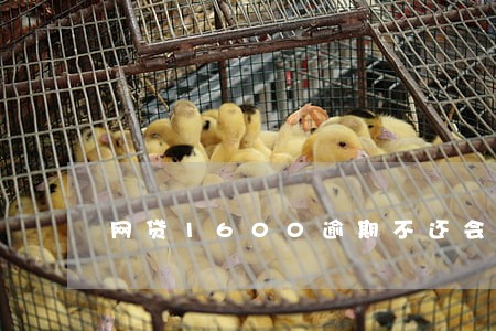网贷1600逾期不还会怎样 网贷1600逾期不还会怎样