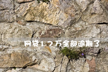 网贷17万全部逾期了 网贷17万全部逾期了