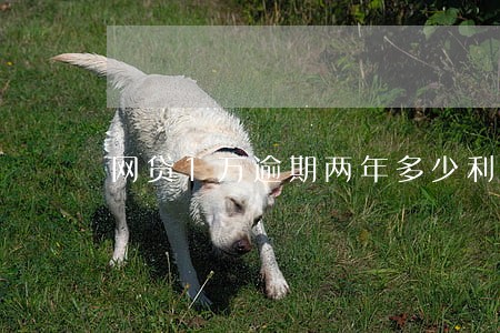 网贷1万逾期两年多少利息 网贷1万逾期两年多少利息