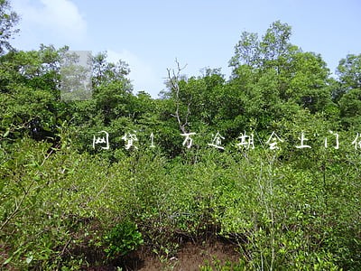 网贷1万逾期会上门催收吗