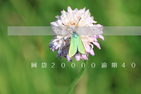 网贷20000逾期40天 网贷20000逾期40天