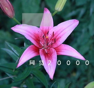 网贷20000逾期半年 网贷20000逾期半年