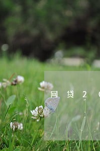 网贷2000元逾期能立案吗 网贷2000元逾期能立案吗