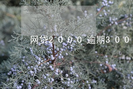 网贷2000逾期300天 网贷2000逾期300天