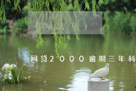 网贷2000逾期三年利息多少