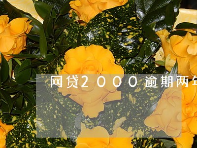 网贷2000逾期两年18万