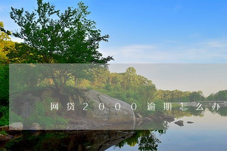 网贷2000逾期怎么办 网贷2000逾期怎么办